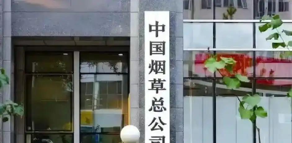 罗马诺：曼联2月就和安德雷桑托斯经纪人沟通，维韦尔了解他