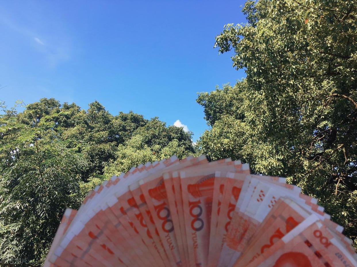 郑钦文知道输球后一定会有谩骂声，打趣目前功力尽失期待未来