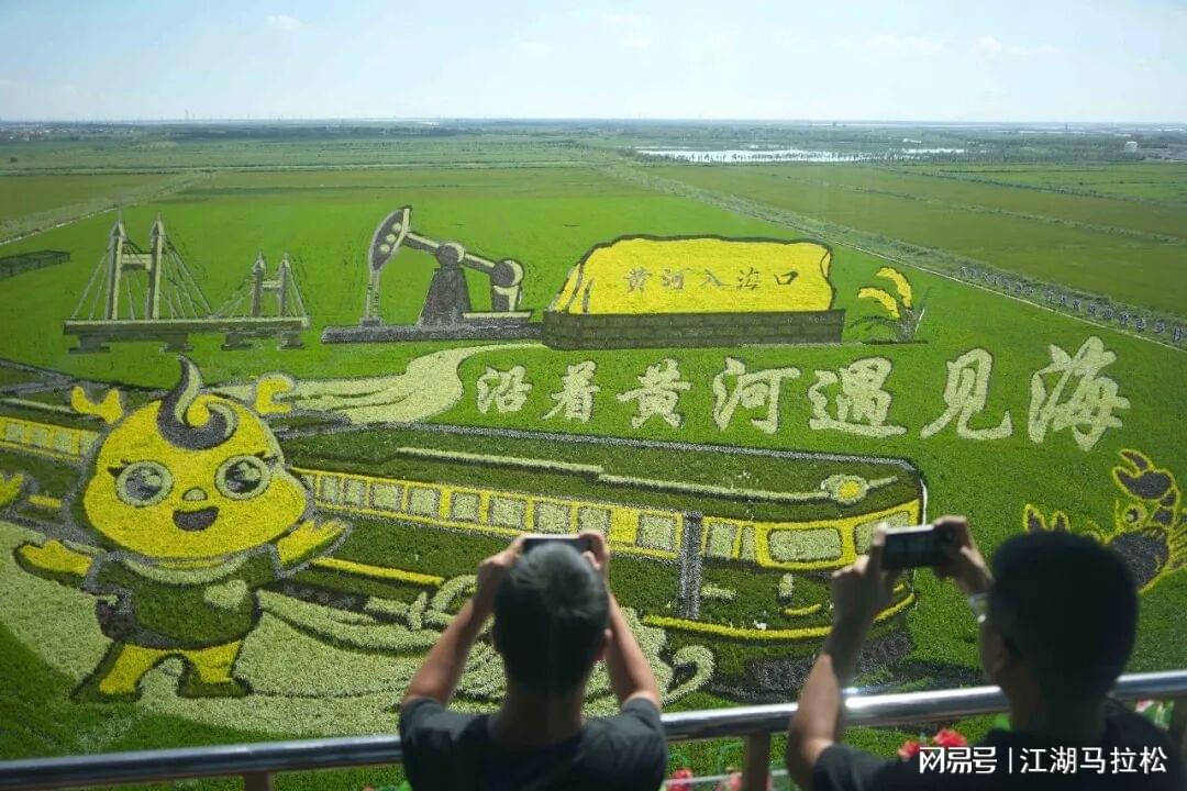 全国游泳冠军赛100自：孙杨遗憾止步预赛，潘展乐张展硕晋级