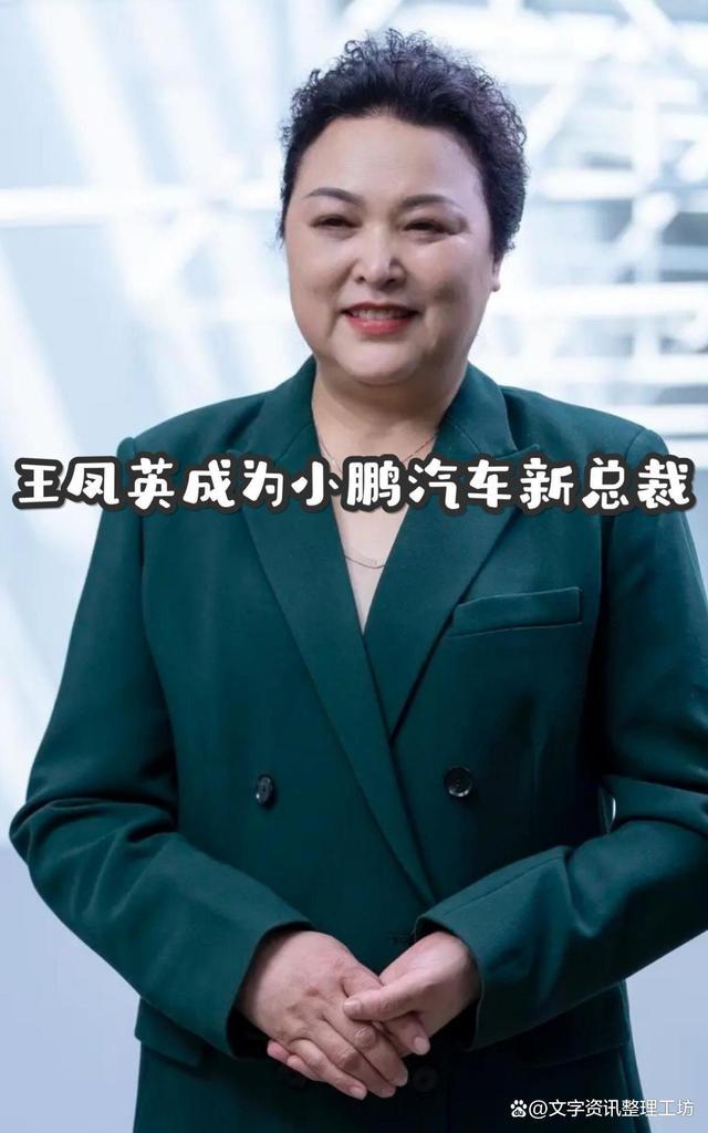 近10年总冠军真人评测，虎扑老哥已经把榜单玩疯了