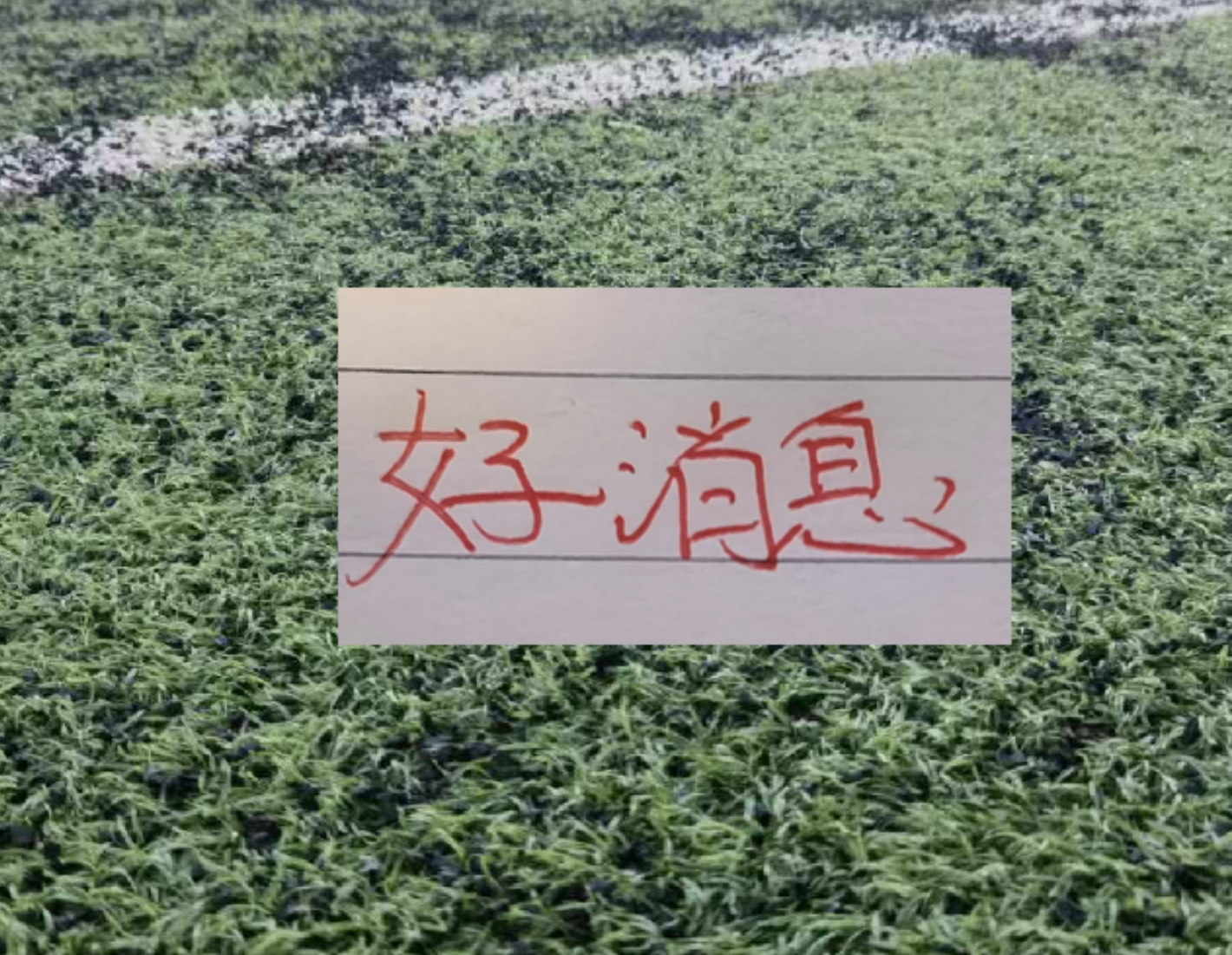 南非队银外套实为专业降温装备