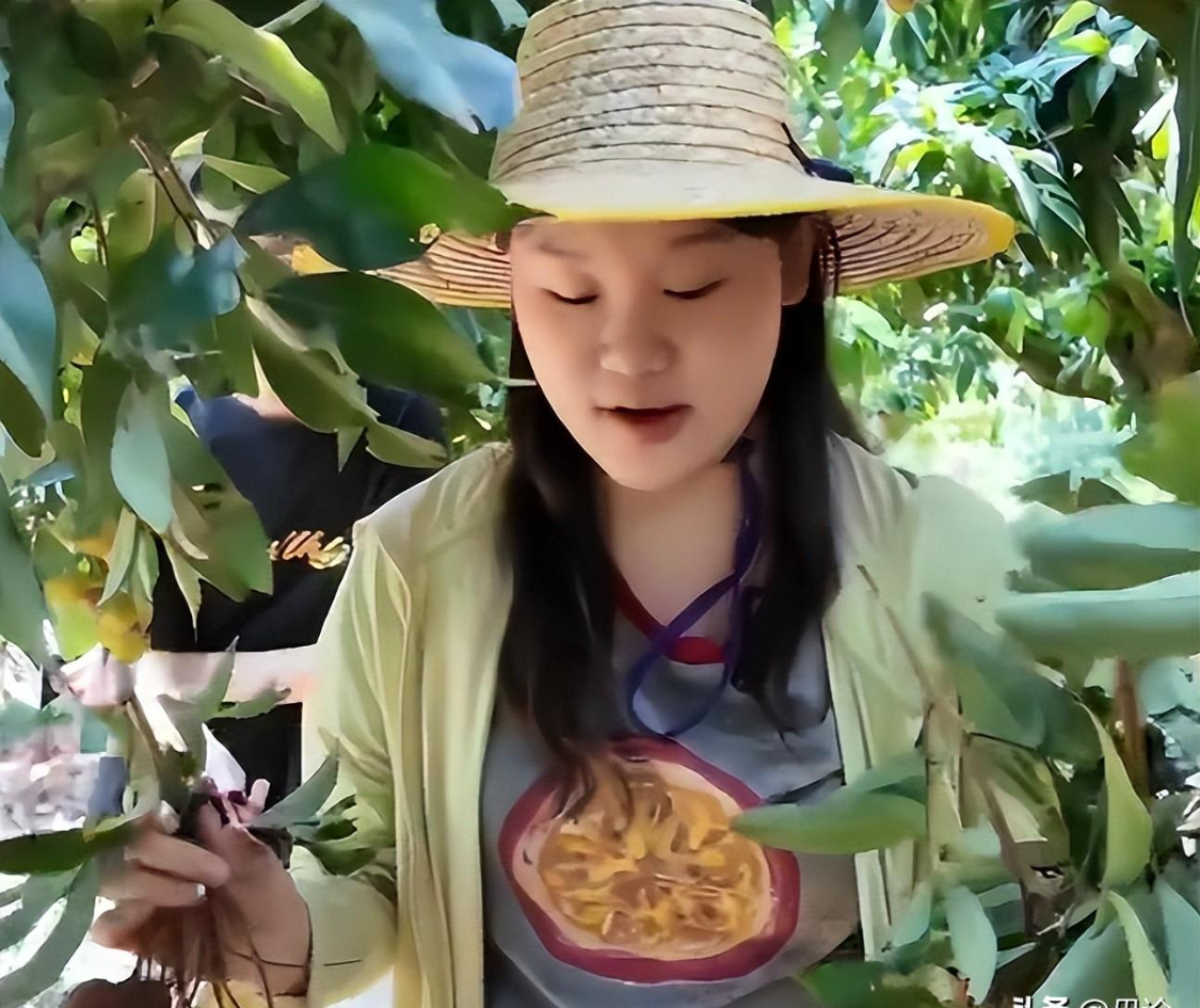 世界杯C组首轮积分榜：苏格兰居首，下轮巴西vs海地